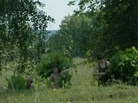 Видео: "Край - мой край"