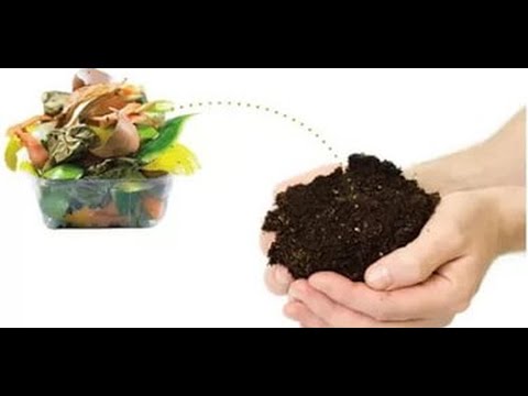 Видео: ТТ5 Ферментация кухонных отходов для корма червей в вермикомпостере