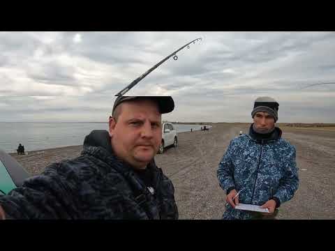 Видео: Капчагай пятая насосная