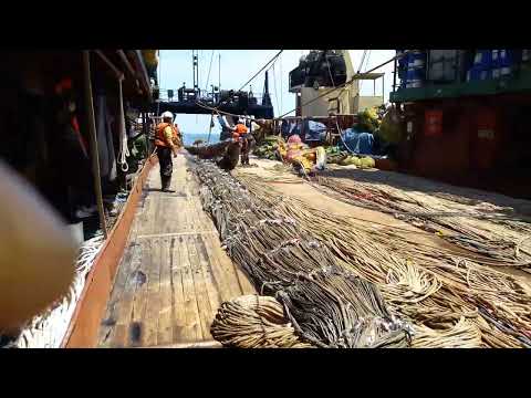 Видео: Выборка трала. Рыбак-дважды моряк. Работа моряков на рыбопромысловом судне. Видео от Юрия Мохленко