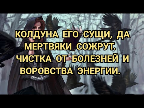 Видео: КОЛДУНА ЕГО СУЩИ, ДА МЕРТВЯКИ СОЖРУТ. ЧИСТКА ОТ БОЛЕЗНЕЙ И ВОРОВСТВА ЭНЕРГИИ.+79607714230