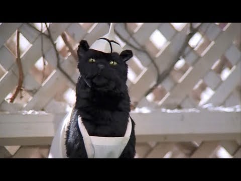 Видео: Кот Сэйлем - лучшее. Часть 5 (Сабрина - маленькая ведьма)