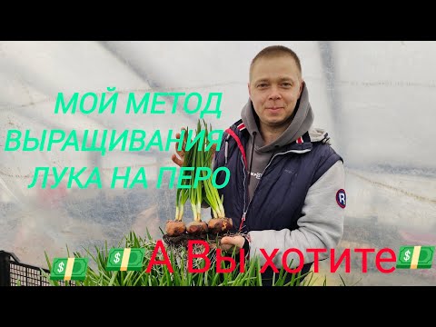 Видео: Решили заработать денег 💵 посадили лук на перо к новому году 🌲