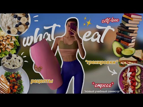 Видео: ПИТАНИЕ ВО ВРЕМЯ УЧЁБЫ🦋рецепты, study with me, мотивация, тренировки, *what I eat in a day*