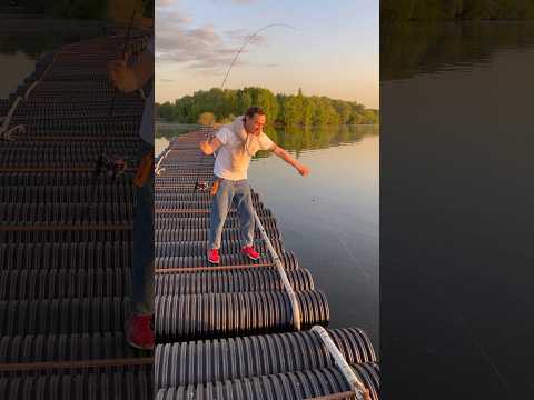 Видео: Такого УЛОВА мы не ожидали. Поймали впервые #рыбалка #спиннинг