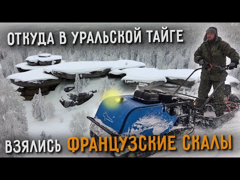 Видео: Здесь жили люди, но тайга ВСЁ ЗАБРАЛА ОБРАТНО!