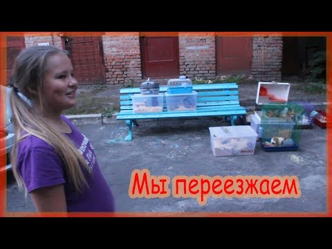Видео: Мы переезжаем