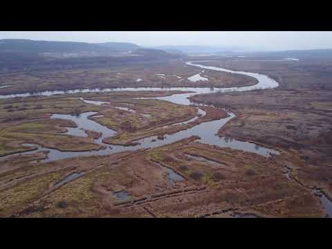 Видео: Самара. Река Сок . Сокские дачи. Старосемейкино. 5 ноября  2022г.