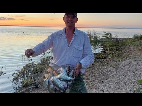 Видео: Капчагай. Супер рыбалка по судаку. Таких косяков судака я не видел ни когда.