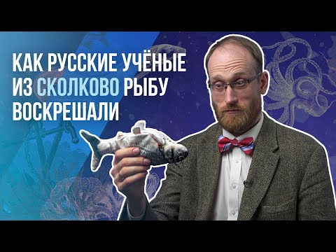 Видео: Как русские учёные из Сколково рыбу воскрешали