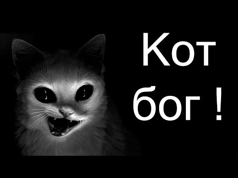 Видео: Кот Бог ! ( Furry fighter )