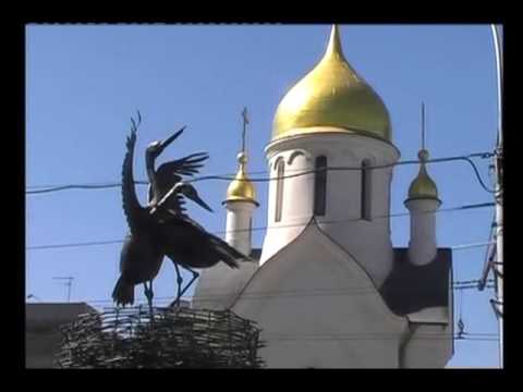 Видео: Храмы Новосибирска