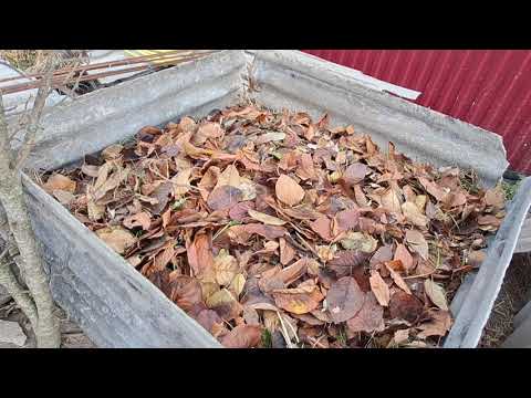 Видео: Компост з осіннього листя. Як приготувати якісний компост