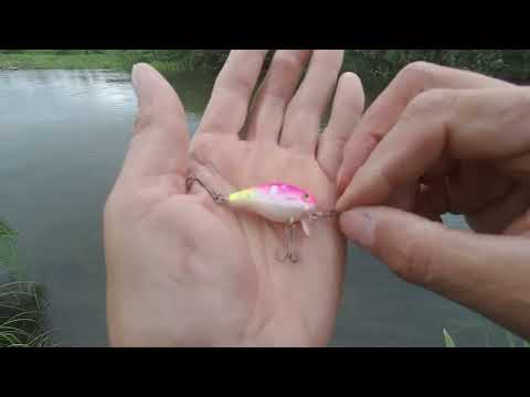 Видео: Ловля на стик