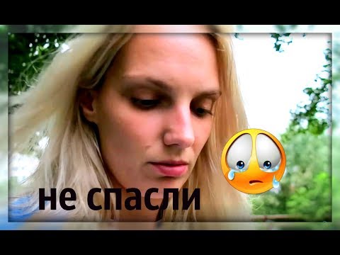Видео: РОДЫ ШПИЦА НА 68 ДЕНЬ. ЩЕНОК УМЕР.