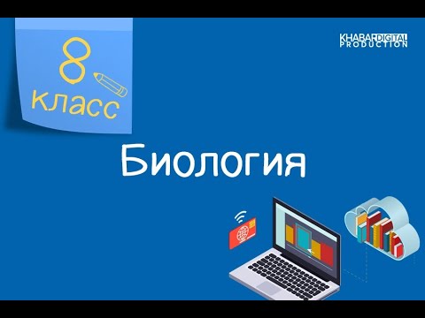 Видео: Биология. 8 класс. Отличительные признаки отделов растений /22.09.2020/