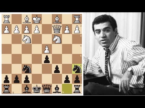Видео: Шедевр позиционной игры от Гарри Каспарова! Шахматы.