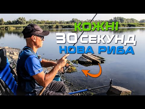 Видео: 😱 ОСІННЯ ПЛІТКА НА РІЧЦІ БОКОВЕНЬКА — риба не дає відпочити!