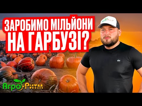 Видео: МІЛЬЙОНИ НА ГАРБУЗАХ?!ВСЕ ПРО ГАРБУЗОВИЙ БІЗНЕС:ТЕХНОЛОГІЯ ВИРОЩУВАННЯ,КУДИ ПРОДАТИ,ДЕ КУПИТИ...