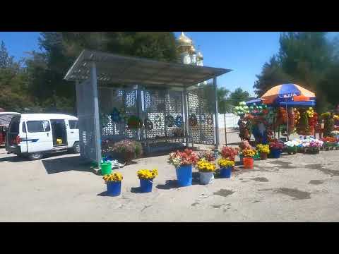 Видео: Ташкент. Уртасарай 33 карта. что строят на месте озера Рохата?