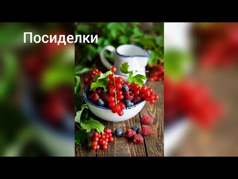 Видео: Посиделки на моей кухне. #орхидеи