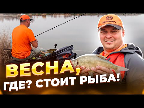 Видео: ВЕСНА, ГДЕ СТОИТ РЫБА? ОТЛИЧНЫЙ КЛЕВ НА ФИДЕР!!