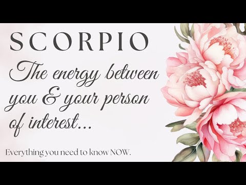 Видео: СКОРПИОН 🌸 ЧЕСТНОЕ ОБЩЕНИЕ 💬 И ЧУВСТВО, ЧТО ЭТО ТО САМОЕ! 💞💍