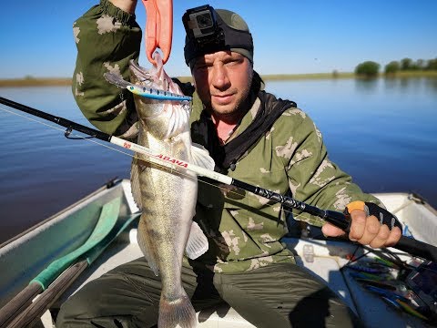 Видео: ИЮНЬ 2018 - (часть 5) ловля судака в МОШКУ (ловим и подводим итоги) фильмы ДИВЕРА