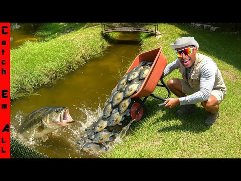 Видео: Мы ПОСТРОИЛИ ПРУД ДЛЯ ЗАРОДЫШЕНИЯ Blue Gil Auto FEEDER для моего ГИГАНТСКОГО ДОМАШНЕГО ОКУНЯ!