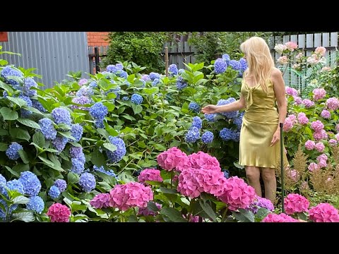 Видео: Мой райский уголок на даче