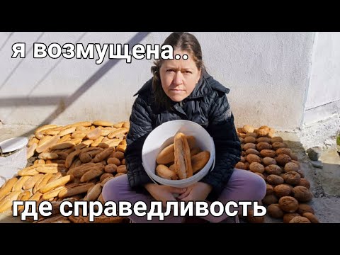 Видео: Готовимся к худшему коснётся ли нас в горной деревни Турции весь этот ужас?