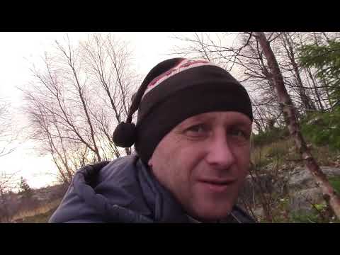 Видео: Поиск Золота по островам Белого моря!Ф-2