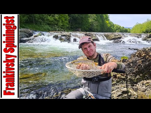 Видео: ⚠️Дуже рибна риболовля, стільки риби я в цьому сезоні не ловив. Мандруємо Карпатами та ловим форель.