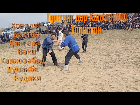 Видео: ГУШТИНГИ МИЛИ  ДАР КАЛХОЗАБОД ШАХРАКИ  ГУЛИСТОН 👍👍
