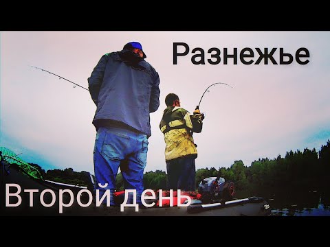 Видео: Рыбалка на спиннинг в травнике .Разнежье второй день.