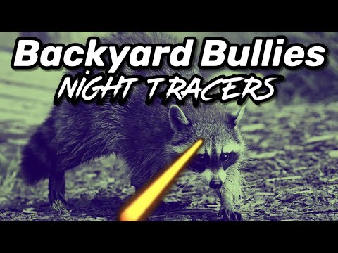 Видео: Zero Dark .30 (Ночные трассеры!)