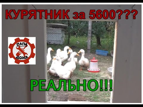 Видео: Построили бюджетный курятник за 5600 рублей!!! Рассказываем подробно! / budget chicken coop