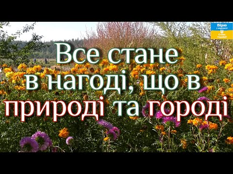 Видео: Все стане в нагоді, що в природі та городі