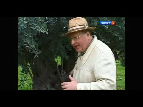 Видео: Израиль Парк библейской природы Путешествия натуралиста