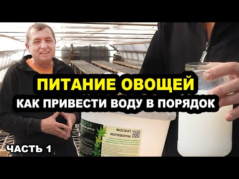 Видео: Питание овощей. Как привести воду в порядок. Часть1