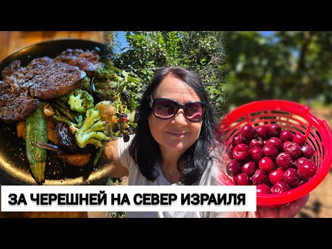 Видео: СЕВЕР ИЗРАИЛЯ. Одем. Черешня, вино и лучшие стейки