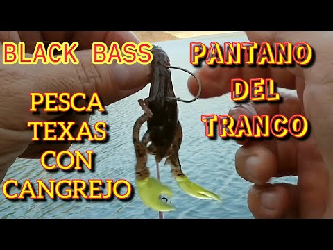 Видео: ЧЕРНЫЙ ОКУНЬ с ВИНИЛОВЫМИ КРАБАМИ, СОБРАННЫМИ в стиле «TEXAS» БОЛОТО ТРАНКО