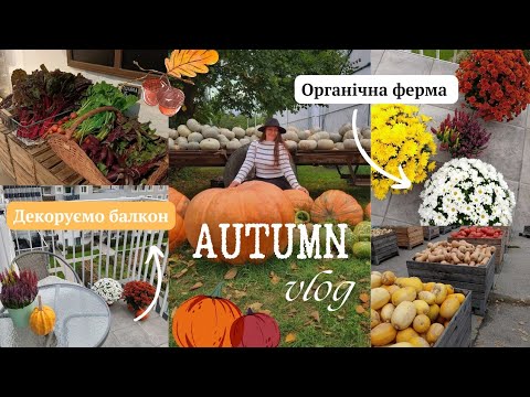 Видео: затишний осінній влог 🍁✨/ декоруємо балкон🎃✨, їдемо на органічну ферму🍅🍁