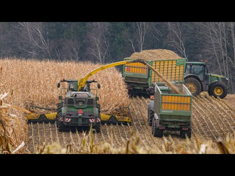 Видео: Уборка кукурузы на силос / John Deere 9600i / 2X John Deere 6250R, 2X 6175R, 7310R /