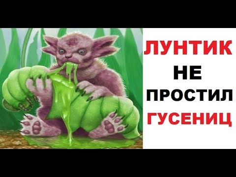 Видео: Лютые приколы. Лунтик НЕ простил гусениц!!!