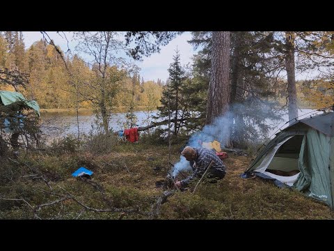 Видео: Рыбалка, грибы и стройка в золотую осень