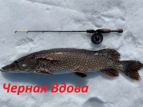 Видео: Ловля на бокоплавы Тюлька Даига