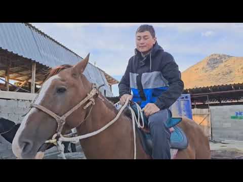 Видео: АЛА БУКА РАЙОНУ ЖЫЛКЫ БААЛАРЫ