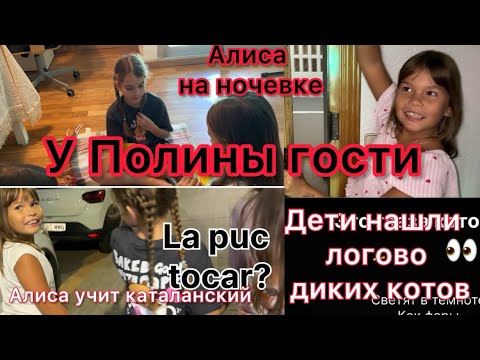 Видео: VLOG Ночевка. День первый.