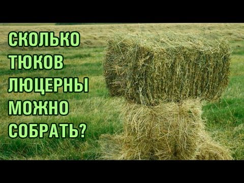 Видео: Сколько можно собрать тюков люцерны Джеа (Gea)